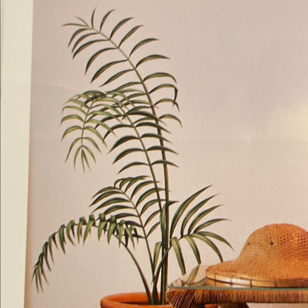 Tatouage Green Palm Leaf Wall Rub on Mural